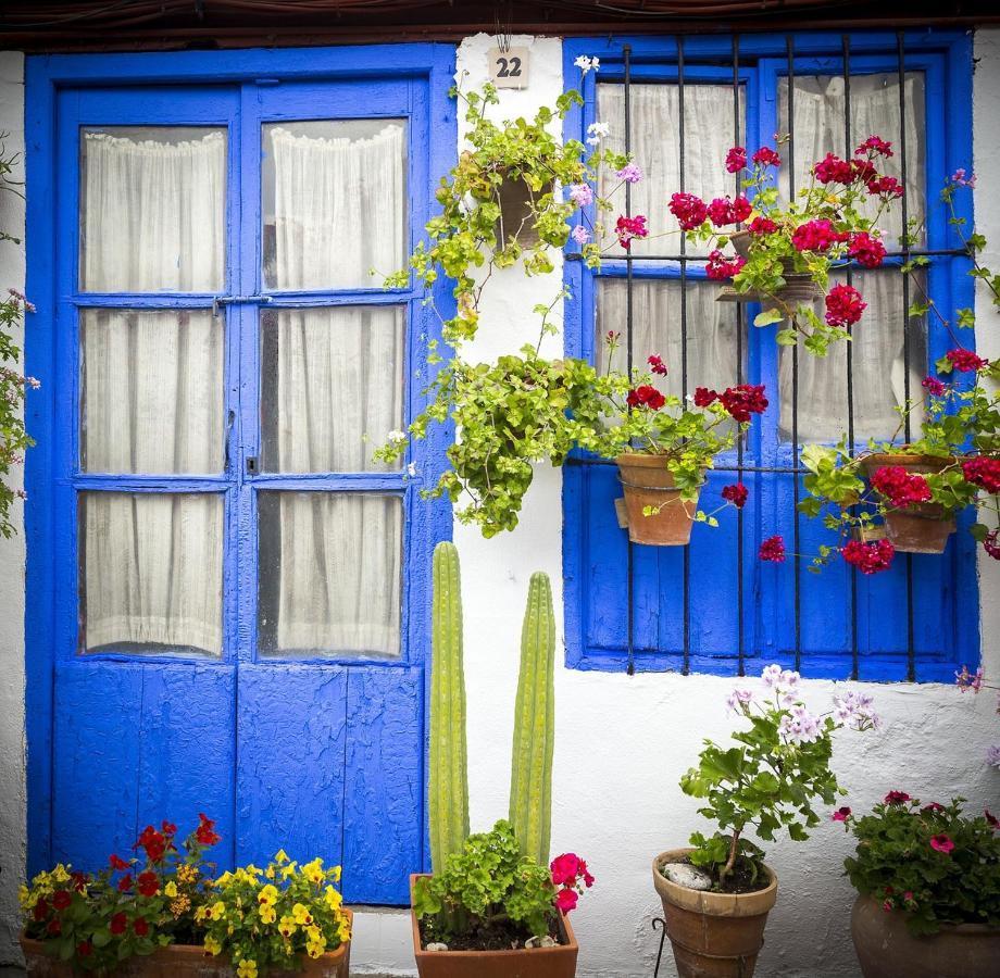Ziba Cordoba Only Families Daire Dış mekan fotoğraf